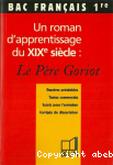 Un roman d'apprentissage du XIXe sicle