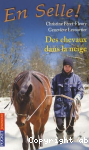 Des chevaux dans la neige