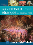 Les animaux tranges du bord de mer